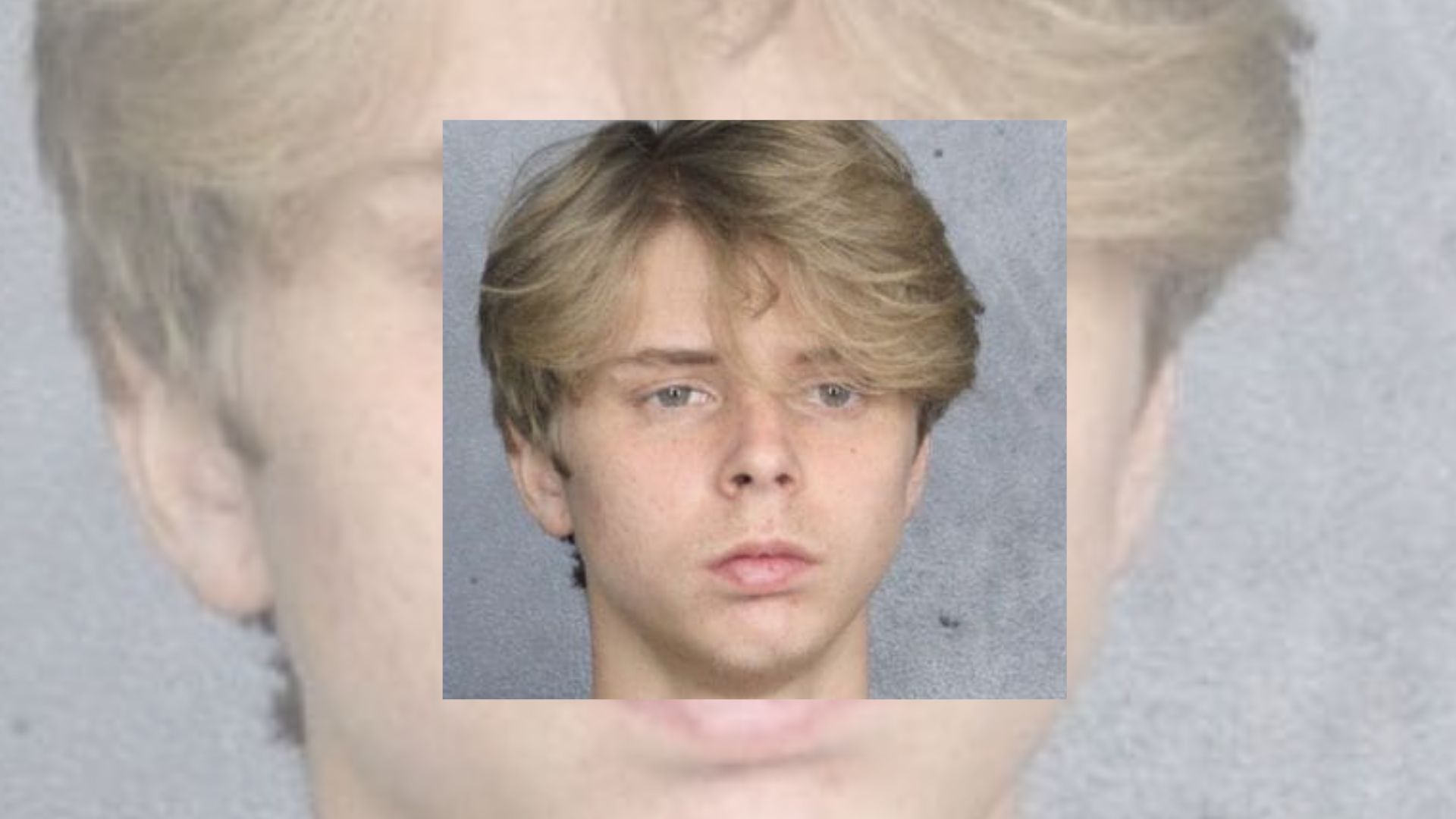 Coral Springs teenager confesses to throwing rocks at multiple homes during a late night spree that left residents frightened and windows shattered