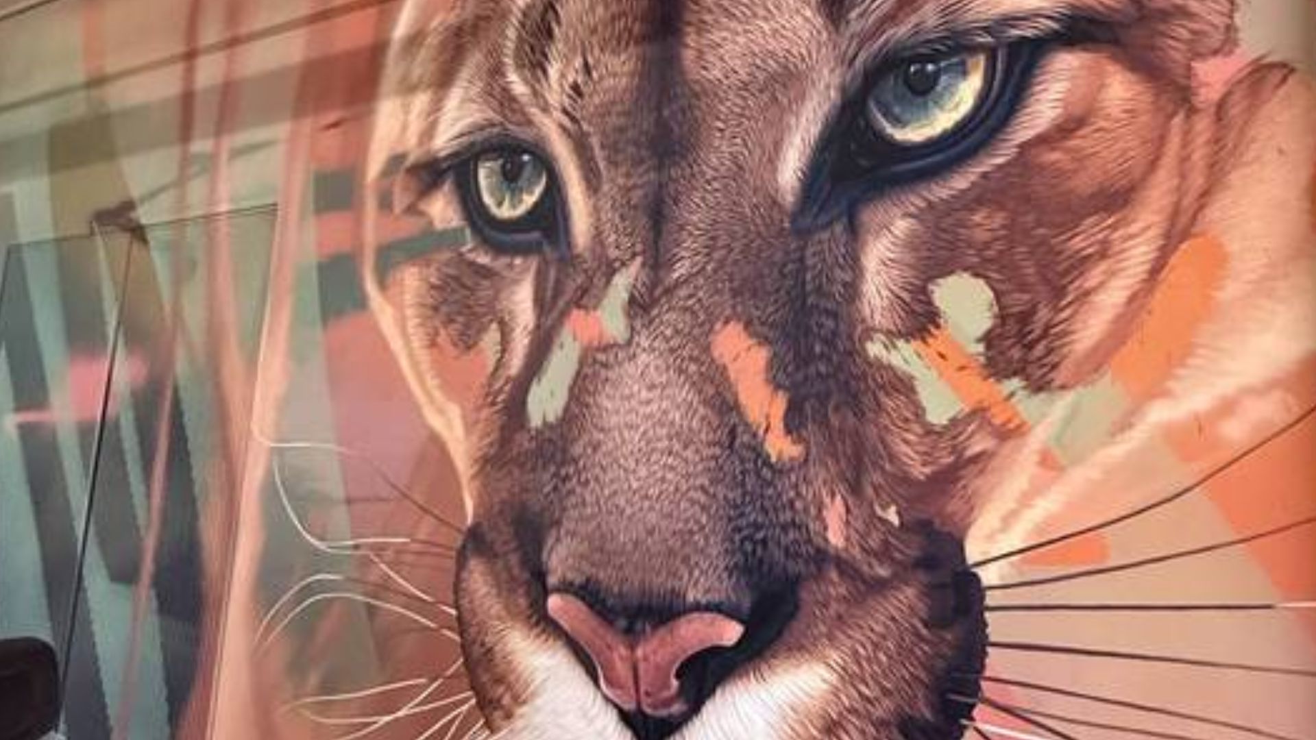 Colorful murals of a pink flamingo and Florida panther brighten walls at Coral Springs Cornerstone near the museum of art