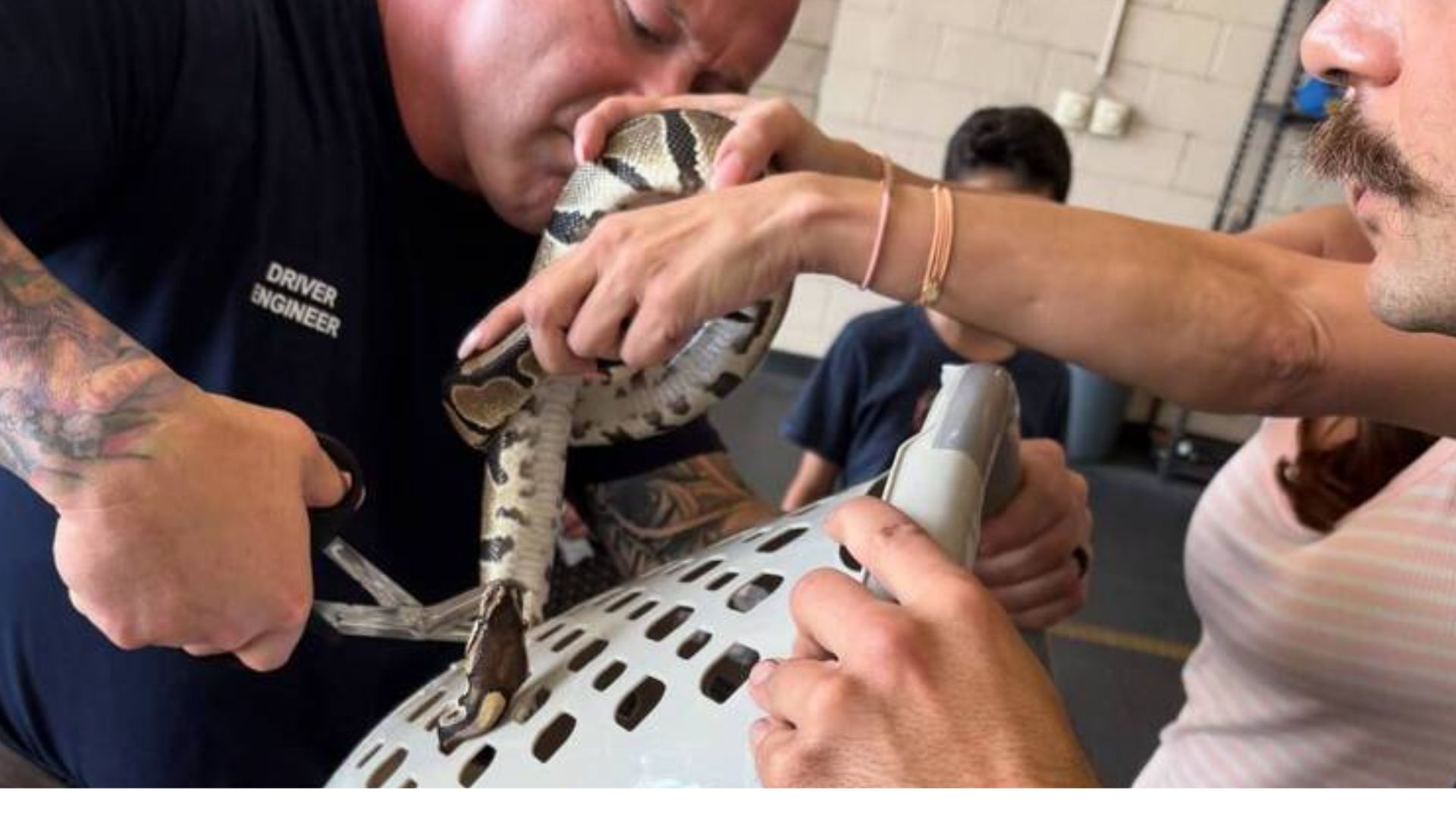 Snake stuck in laundry basket leads to unusual rescue call at Coral Springs Fire Station 80 where firefighters carefully free pet without injury