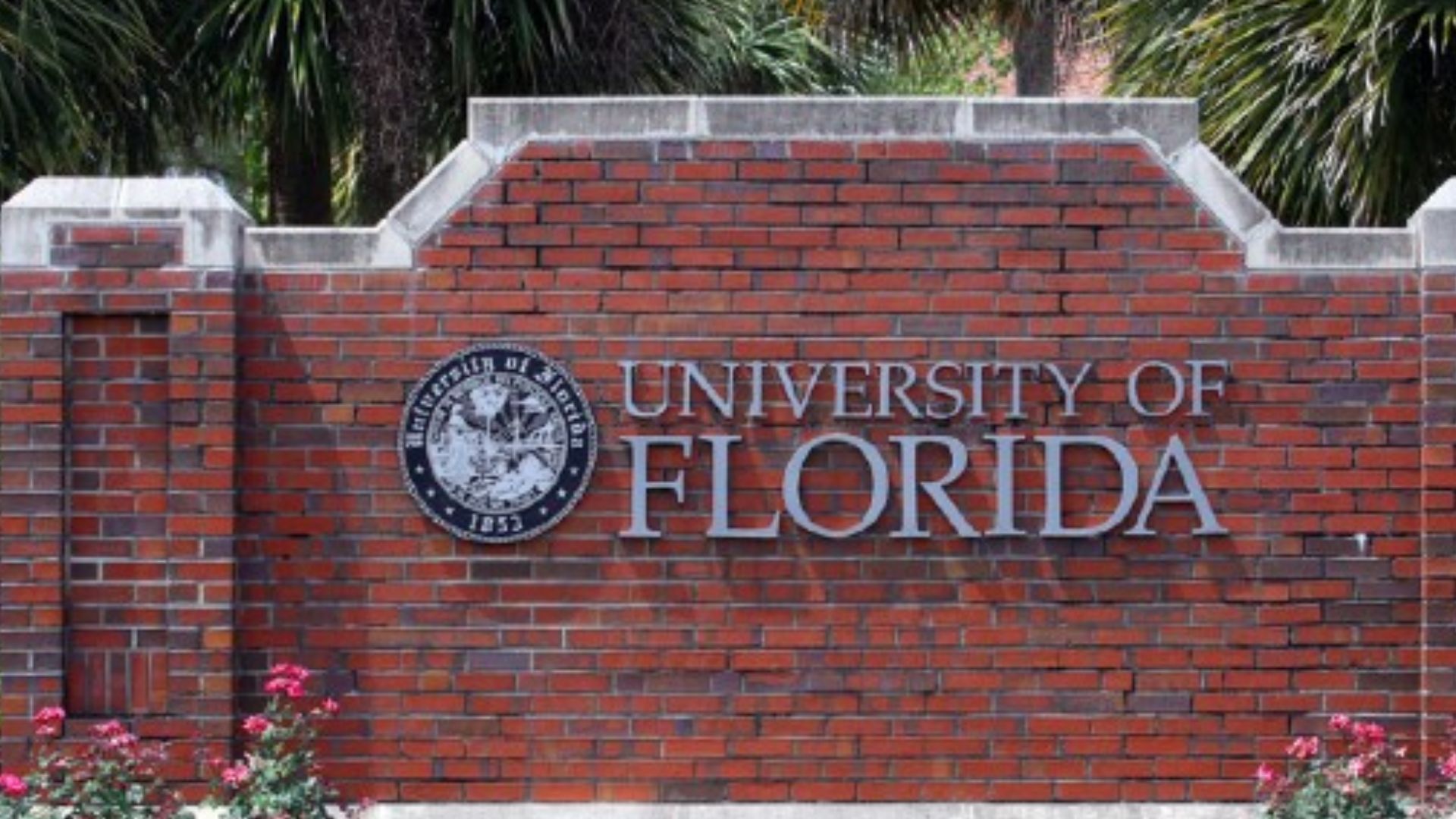 State Board of Education removes Sociology from general education requirements across the Florida College System in major statewide policy shift