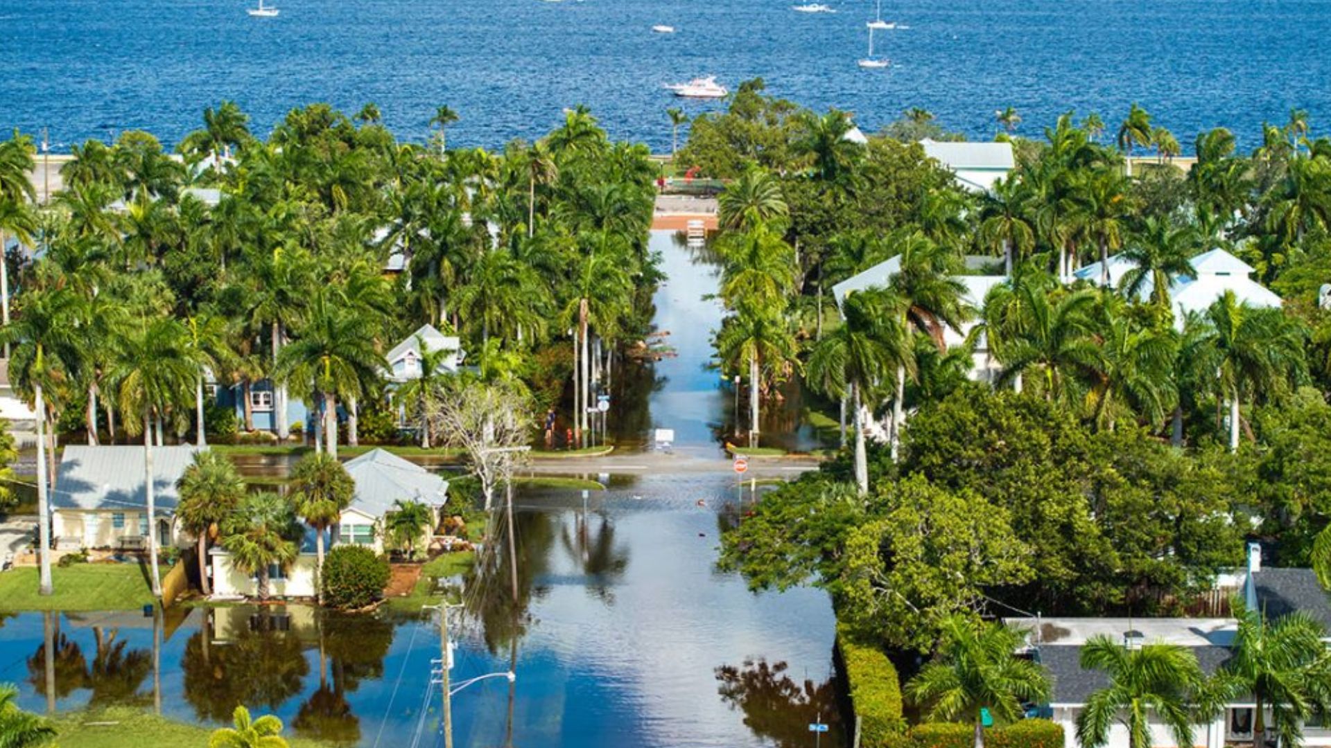 FSU study warns that routine coastal flooding could become a major deadly threat for older adults across the United States by the end of the century