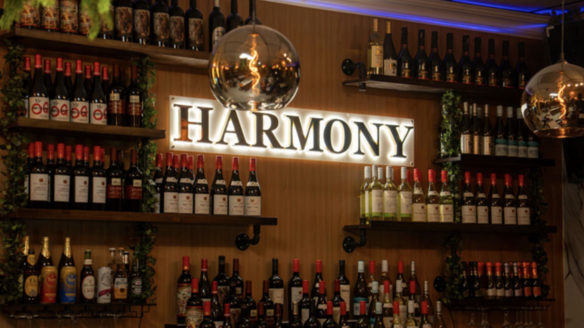 Harmony Indian Cuisine opens in Coral Springs introducing rare regional South Indian dishes inspired by Kerala coastal flavors and traditional spice blends