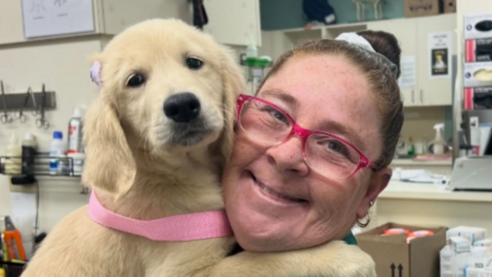 How VCA Coral Springs built lasting relationships with local pet owners