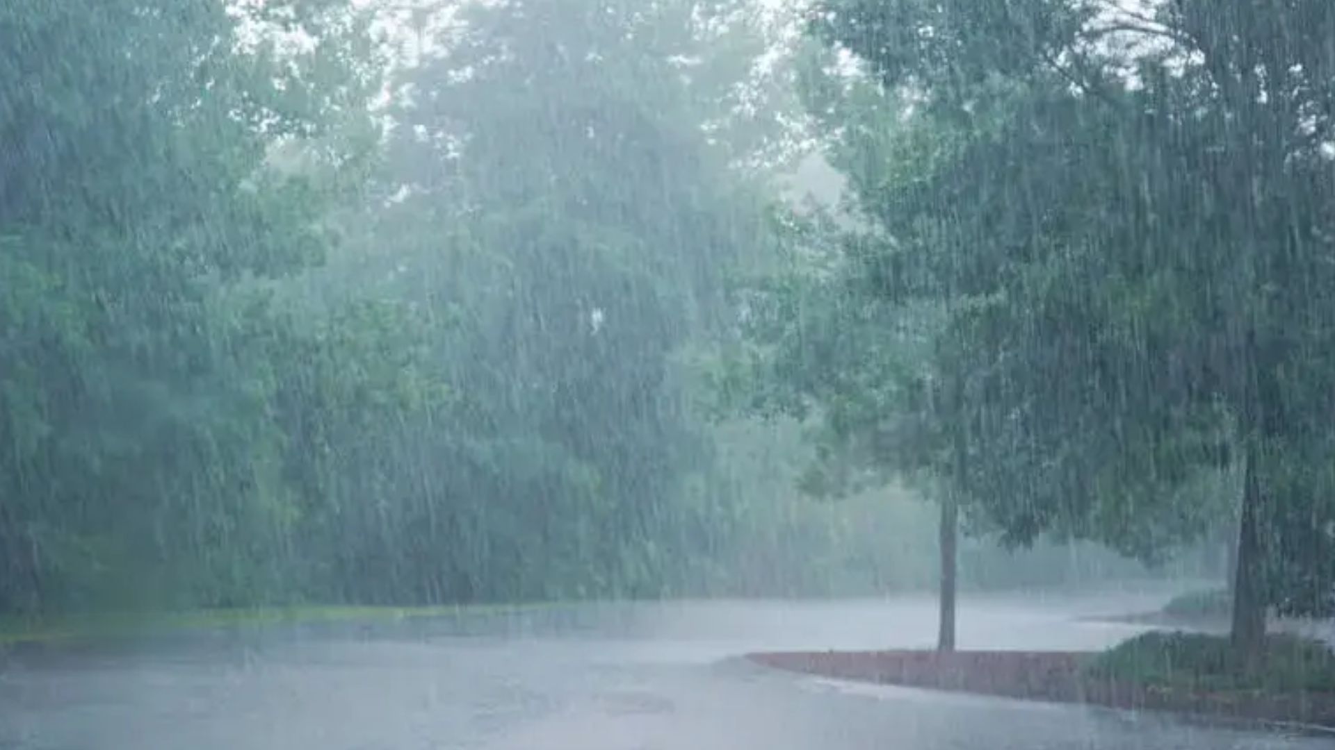 Coral Springs gets a brief break from heavy rain after September rainfall tops 20 inches near the city